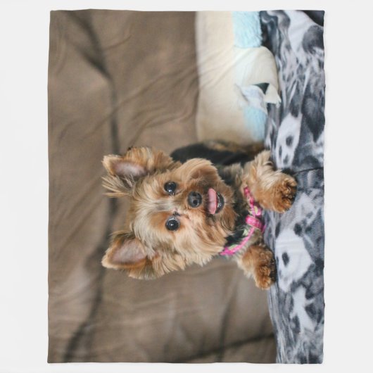 Couverture Polaire Tiny dynamo (Devant)