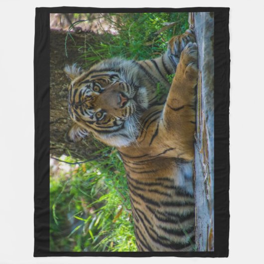 Couverture Polaire Tony Fleece Blanket (Devant)