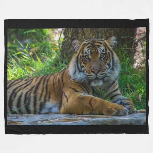 Couverture Polaire Tony Fleece Blanket (Devant (Horizontal))