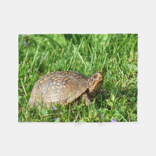 Couverture Polaire Tortue (Devant (Horizontal))