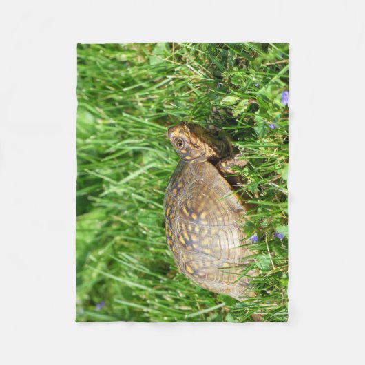 Couverture Polaire Tortue (Devant)