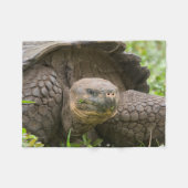 Couverture Polaire Tortue géante (Devant (Horizontal))
