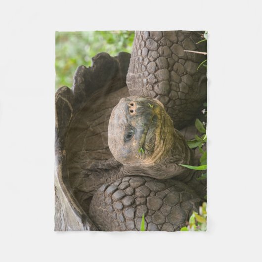 Couverture Polaire Tortue géante (Devant)