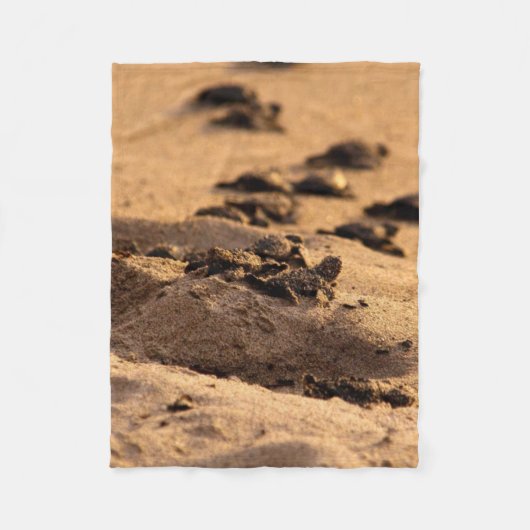 Couverture Polaire Tortues de mer (Devant)