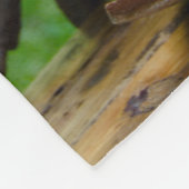 Couverture Polaire Tournesols rustiques et mariage occidental de (Coin)