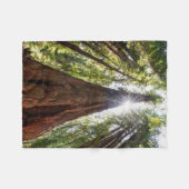 Couverture Polaire Tours des séquoias (Devant (Horizontal))