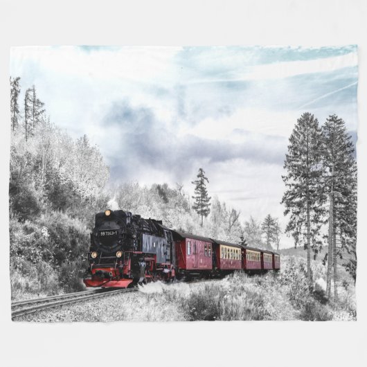 COUVERTURE POLAIRE TRAIN DE NEIGE (Devant (Horizontal))