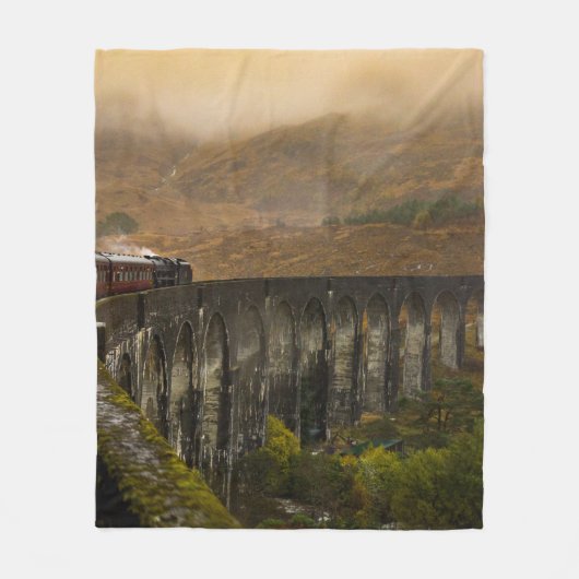 COUVERTURE POLAIRE TRAIN SUR CHEMIN DE FER EN JOURNÉE (Devant)