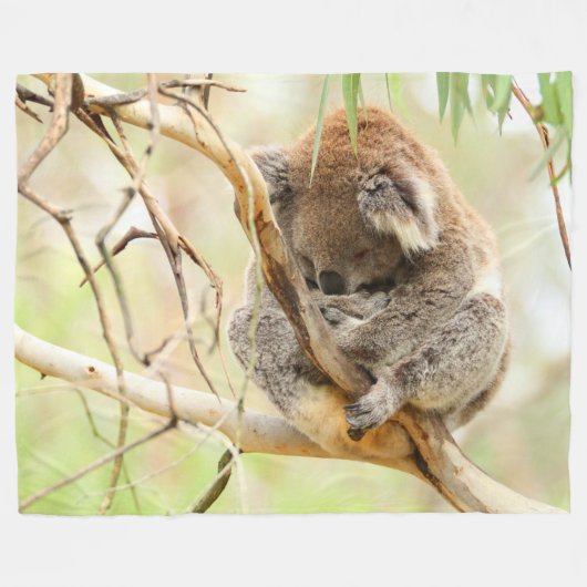 COUVERTURE POLAIRE TRANQUIL KOALA (Devant (Horizontal))