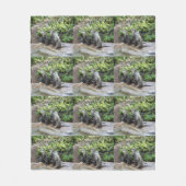 Couverture Polaire Trois Boutons Sages, (Devant)