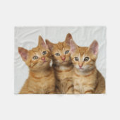 Couverture Polaire Trois chatons gingembre mignons assis côte à côte (Devant (Horizontal))