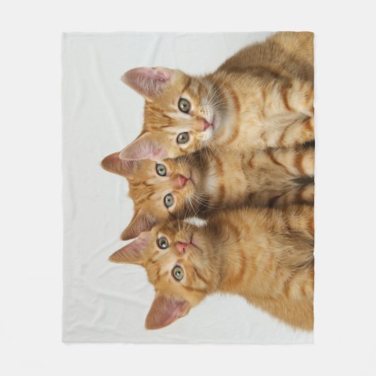 Couverture Polaire Trois chatons mignons de gingembre côte à côte, (Devant)