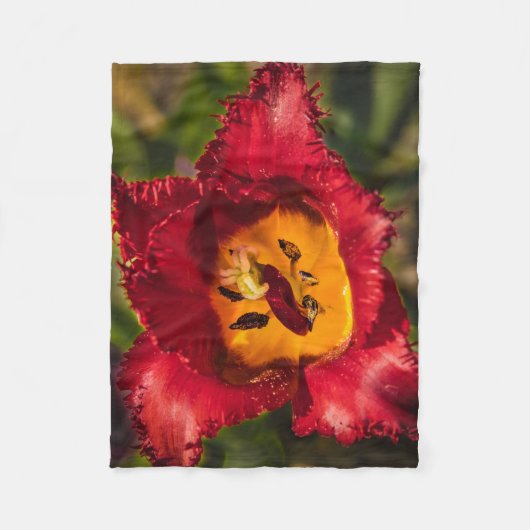 Couverture Polaire Tuliforme rouge (Devant)