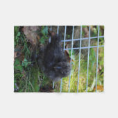 Couverture Polaire Un bébé Silkie (Devant (Horizontal))