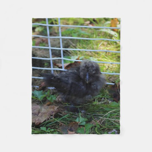 Couverture Polaire Un bébé Silkie (Devant)