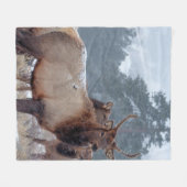 COUVERTURE POLAIRE UN GROUPE DE DEERS (Devant (Horizontal))