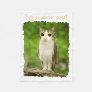 Couverture Polaire Un nouveau chat d'âme Mignon hibou chat hybride dr