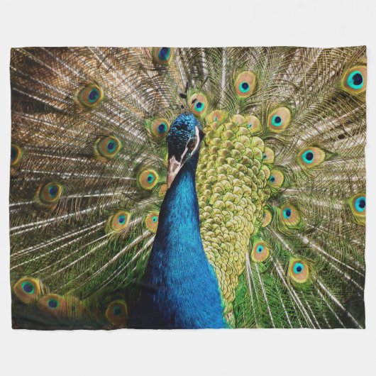 Couverture Polaire Un paon caché (Devant (Horizontal))