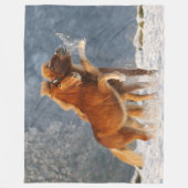 Couverture Polaire Un poulain de cheval islandais jouant dans la neig (Devant)