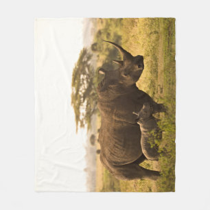 Couverture Polaire Un Rhino avec son bébé
