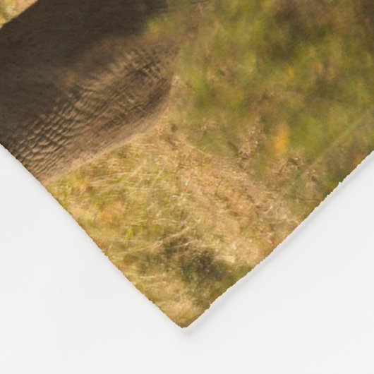 Couverture Polaire Un Rhino avec son bébé (Coin)