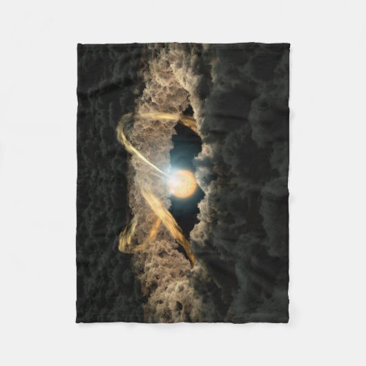 Couverture Polaire Une Étoile Entourée D'Un Disque Protoplanétaire (Devant)