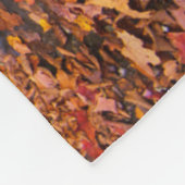 Couverture Polaire Upper Whiteoak Falls, Parc national de Shenandoah, (Coin)