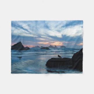 Couverture Polaire USA, Oregon, Bandon Beach. Mouette sur pierre