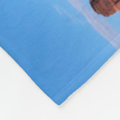 Couverture Polaire Utah. Frontière de l'Arizona, Nation Navajo, Monum (Coin)