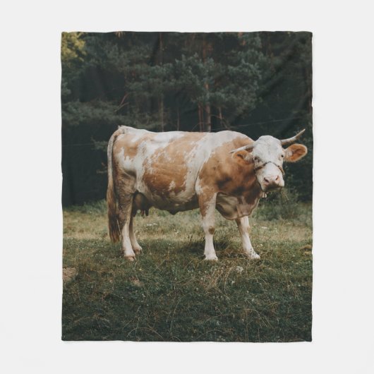 Couverture Polaire VACHE CHAINÉE Brown ET BLANCHE (Devant)