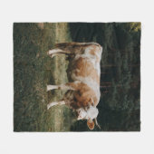 Couverture Polaire VACHE CHAINÉE Brown ET BLANCHE (Devant (Horizontal))