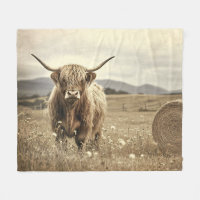 Vache de Highland dans un champ de foin Vintage