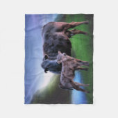Couverture Polaire Vache et veau Black Angus (Devant)