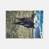 Couverture Polaire Valeur (Devant (Horizontal))