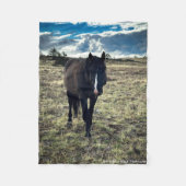 Couverture Polaire Valeur (Devant)