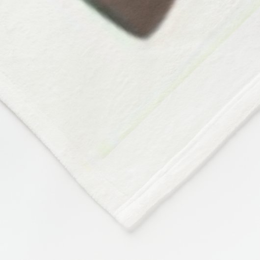 COUVERTURE POLAIRE VARIANTES GARAND RIFLE (Coin)