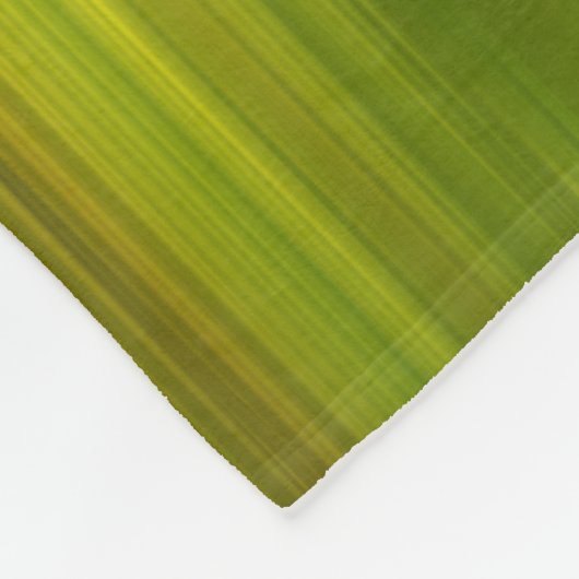 Couverture Polaire Vert rayé (Coin)