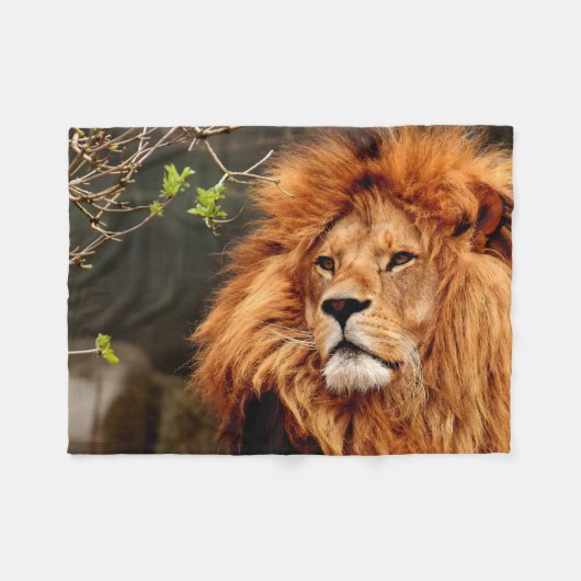 Couverture Polaire Vibrant colourful Close-up Lion picture (Devant (Horizontal))