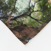 Couverture Polaire Vieil olivier rustique (Coin)