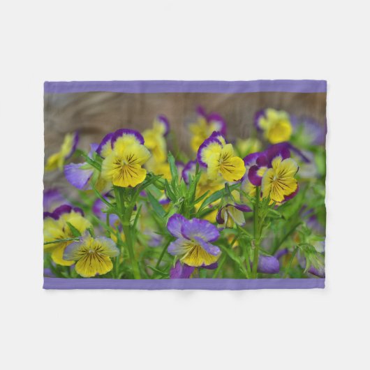 Couverture Polaire Violons Violets Et Jaunes (Devant (Horizontal))