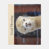 Couverture Polaire Visage d'alpaca mignon (Devant)