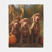 Couverture Polaire Vizsla Chiot Automne Citrouille délice (Devant)