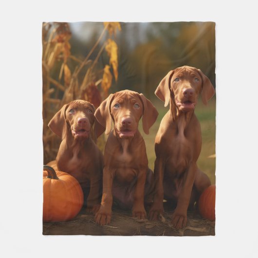 Couverture Polaire Vizsla Chiot Automne Citrouille délice (Devant)