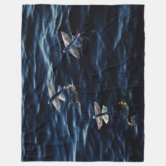 COUVERTURE POLAIRE VOLS OCÉANS (Devant)