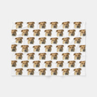 Votre animal de compagnie Photo Chien Chat Personn