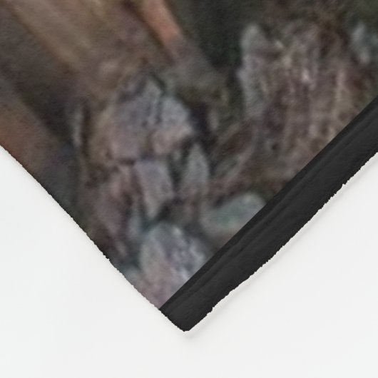 Couverture Polaire WATERFALL at SUNSET (Coin)