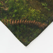 Couverture Polaire Waterfalls | Olympic National Park, Washington (Coin)