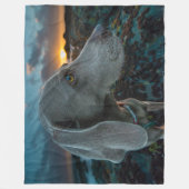 COUVERTURE POLAIRE WEIMARANER (Devant)