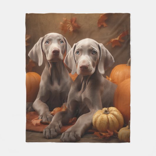 Couverture Polaire Weimaraner Chiot Automne Citrouille délice (Devant)