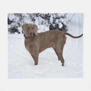 Couverture Polaire Weimaraner En Hiver